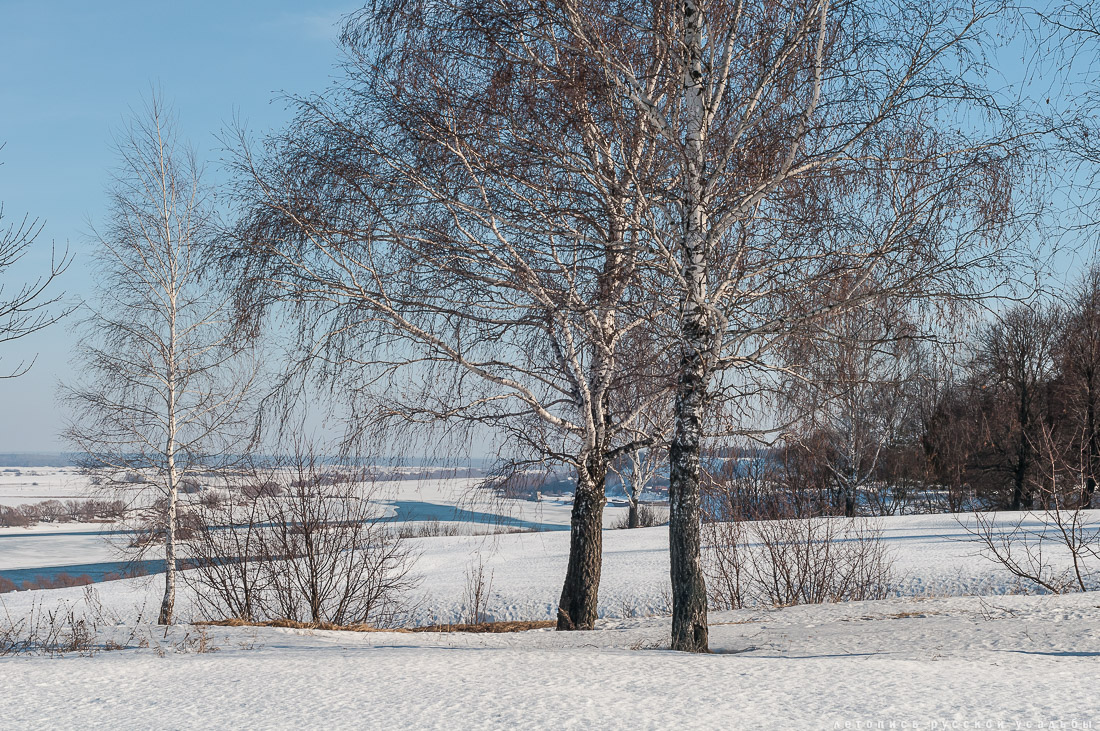 усадьба Константиново