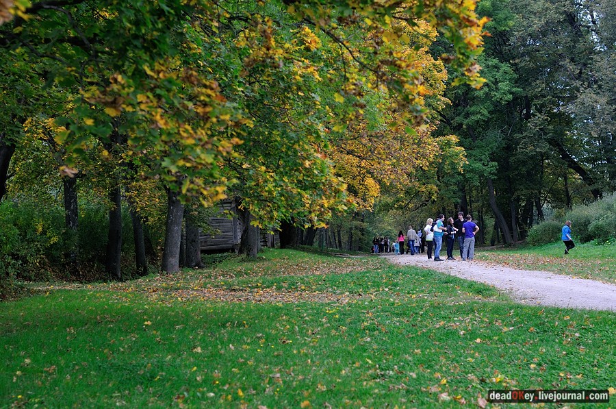 усадьба Ясная Поляна
