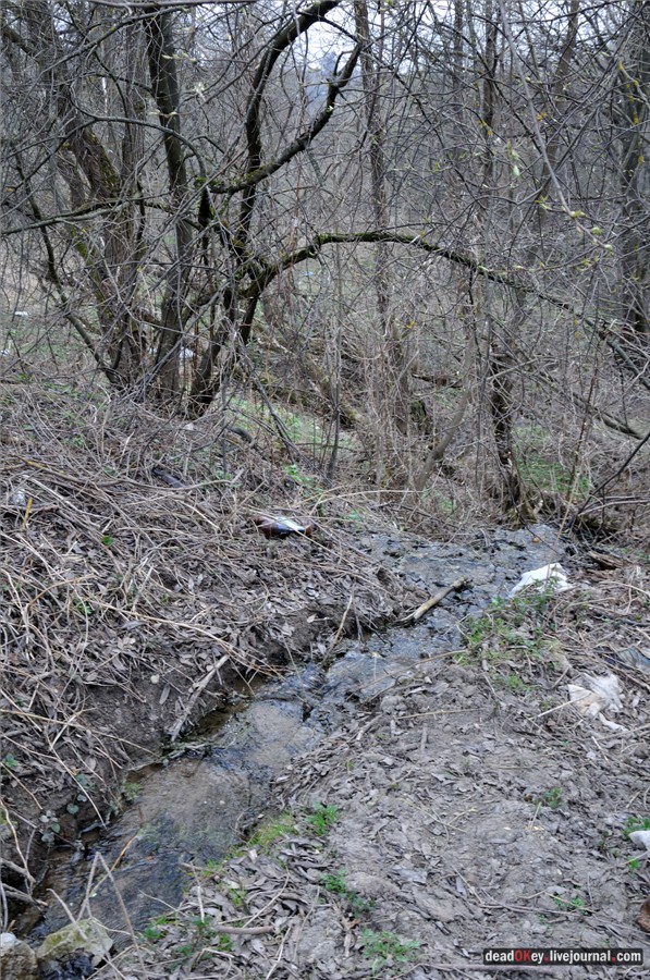 усадьба Городня