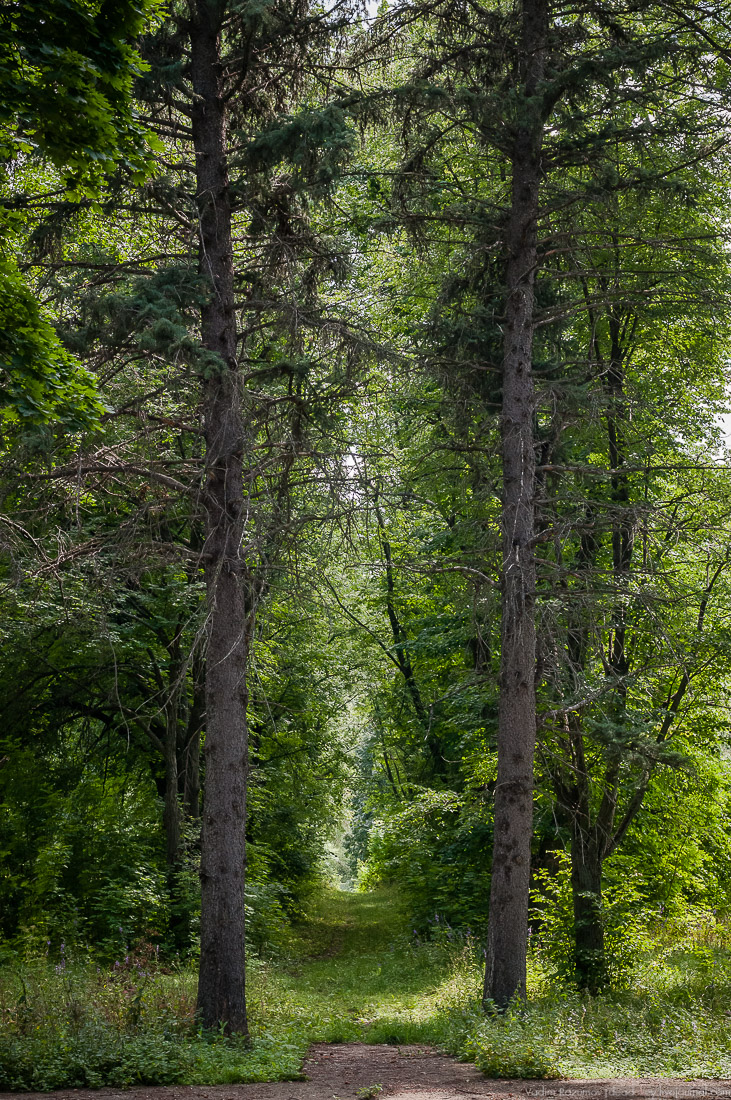 усадьба Стегаловка Ведровых