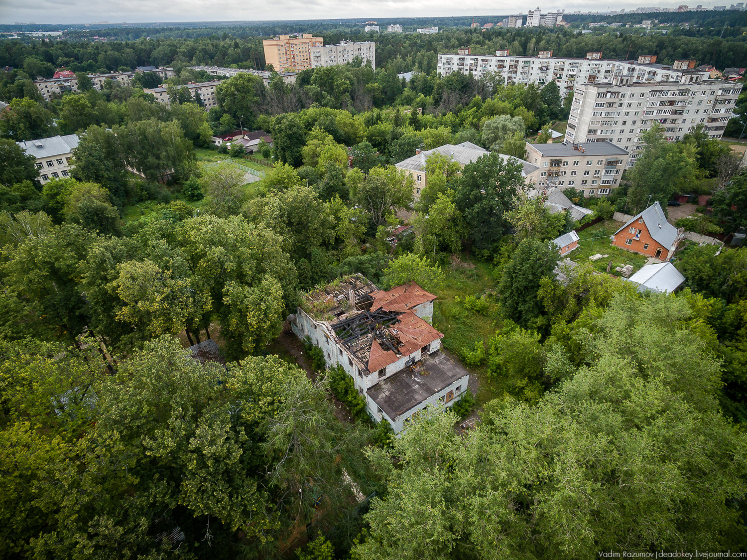 усадьба Лапино-Спасское, г. Королев, Усадебные волонтеры