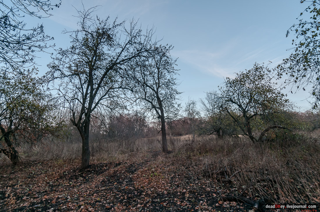 усадьба Богородицк
