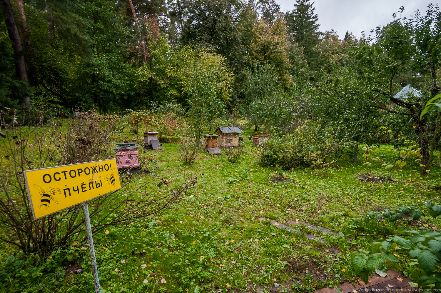 усадьба Дунино, дача Пришвина