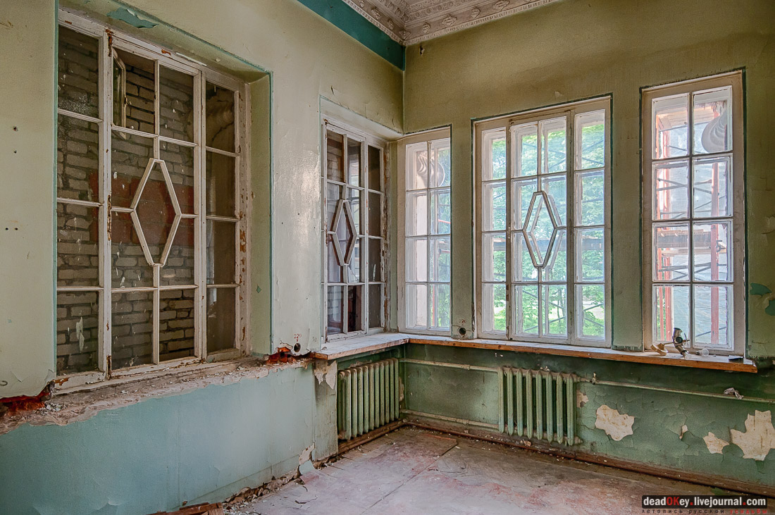 усадьба Мамоново, Сколково, Гусева полоса