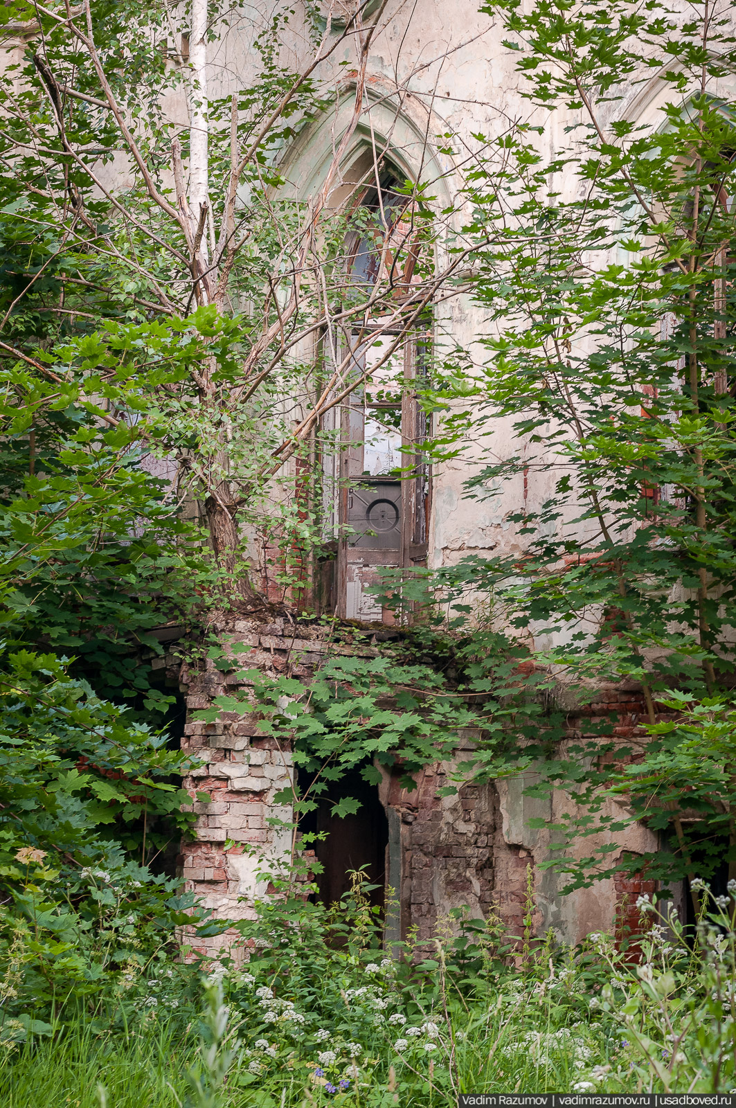 усадьба Колосово Пасхаловых, Тульская область, Алексинский район