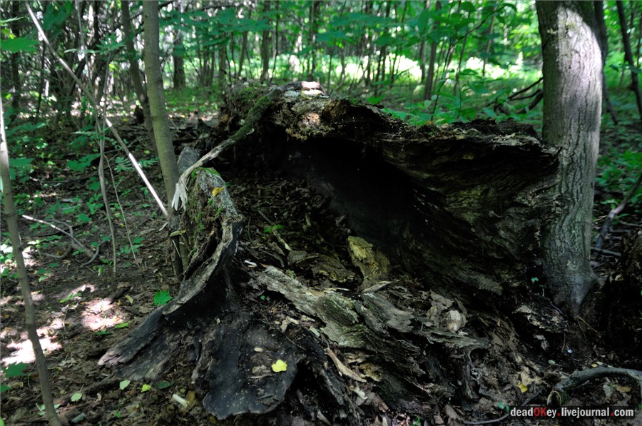 усадьба Образцово