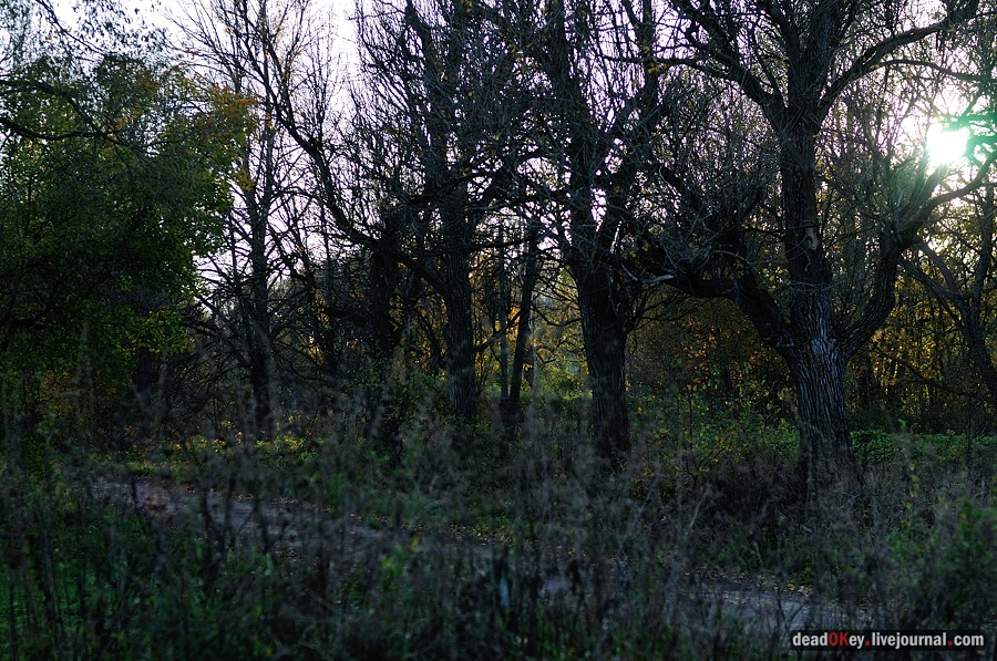 усадьба Дубровка (Мансурово)