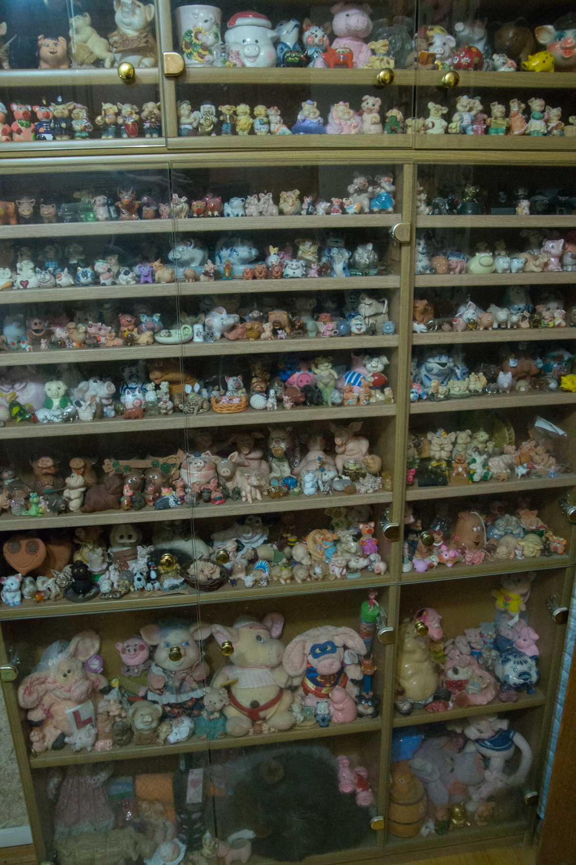 Свиньи, музей свиней