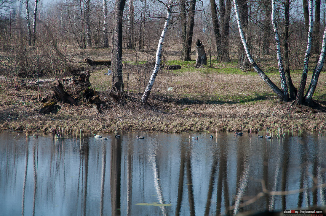 усадьба Савинское (исследование масонского парка)