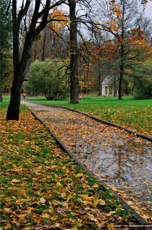 усадьба Марфино