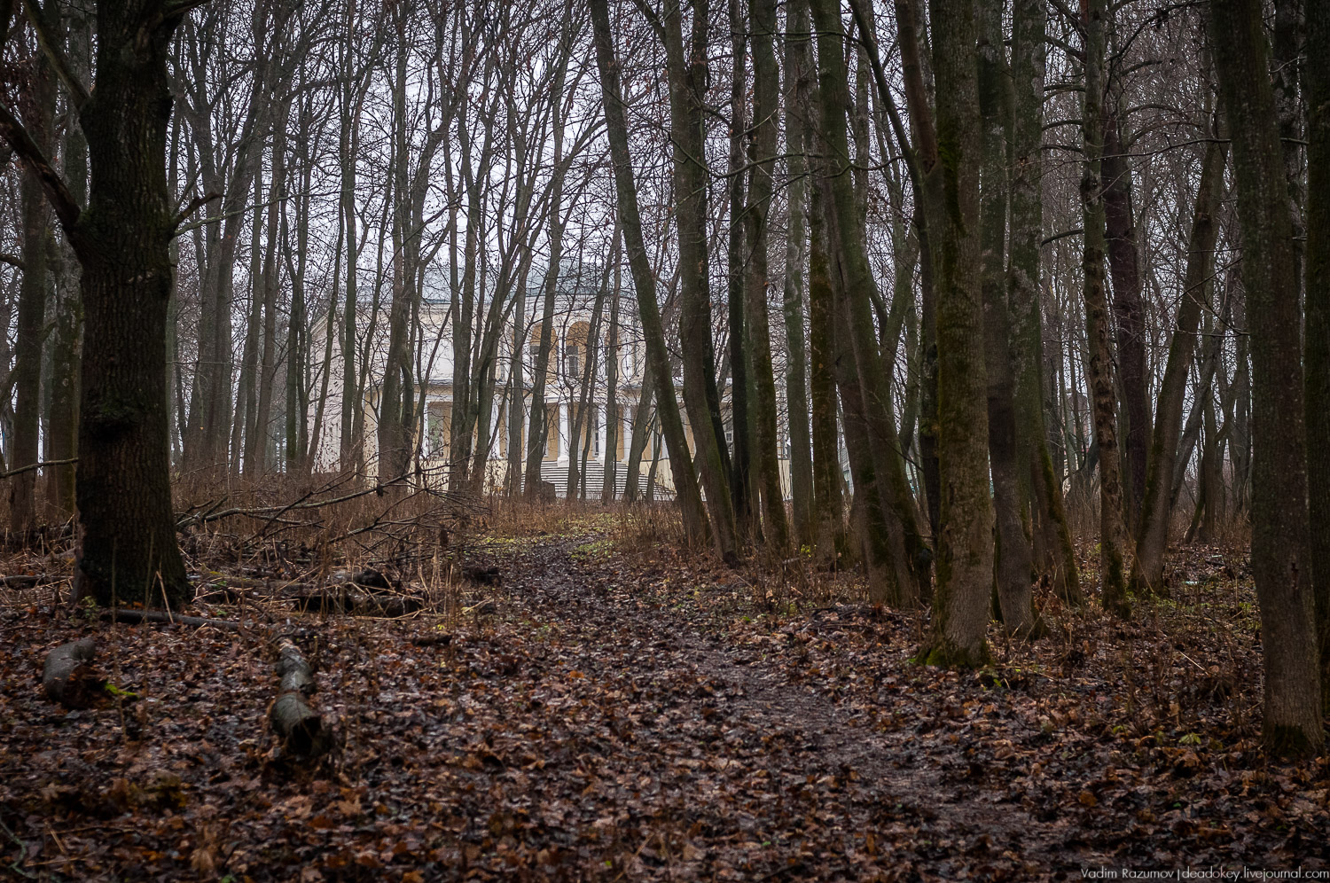 усадьба Пальна-Михайловка, аудиогид по усадбе, фото Вадим Разумов