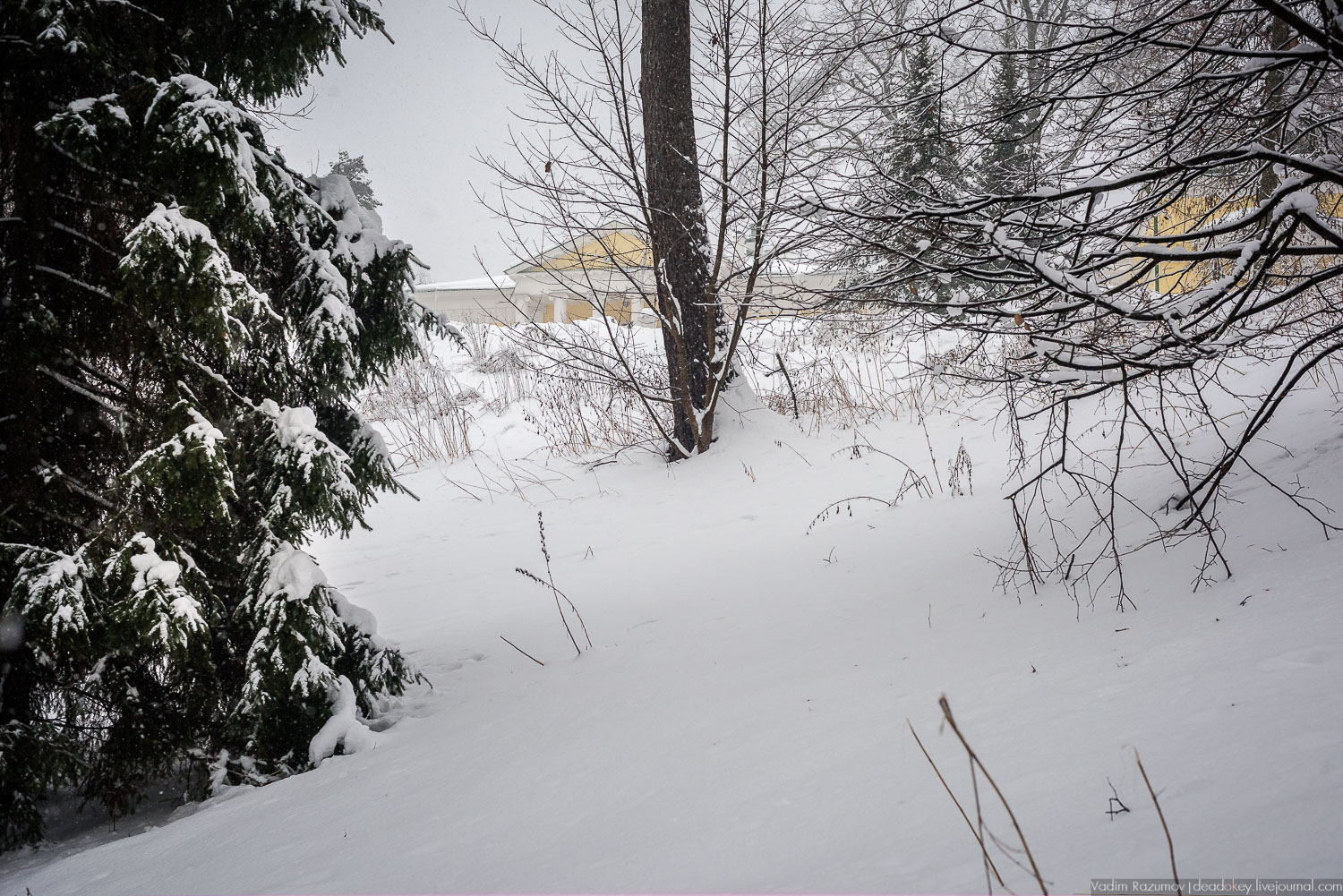 усадьба Горки Ленинские, 2018 год, Летопись русской усадьбы, Вадим Разумов