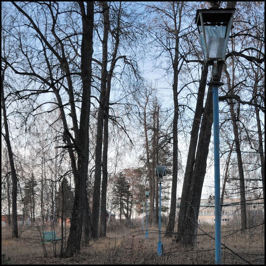 Парковые аллеи в русских усадьбах