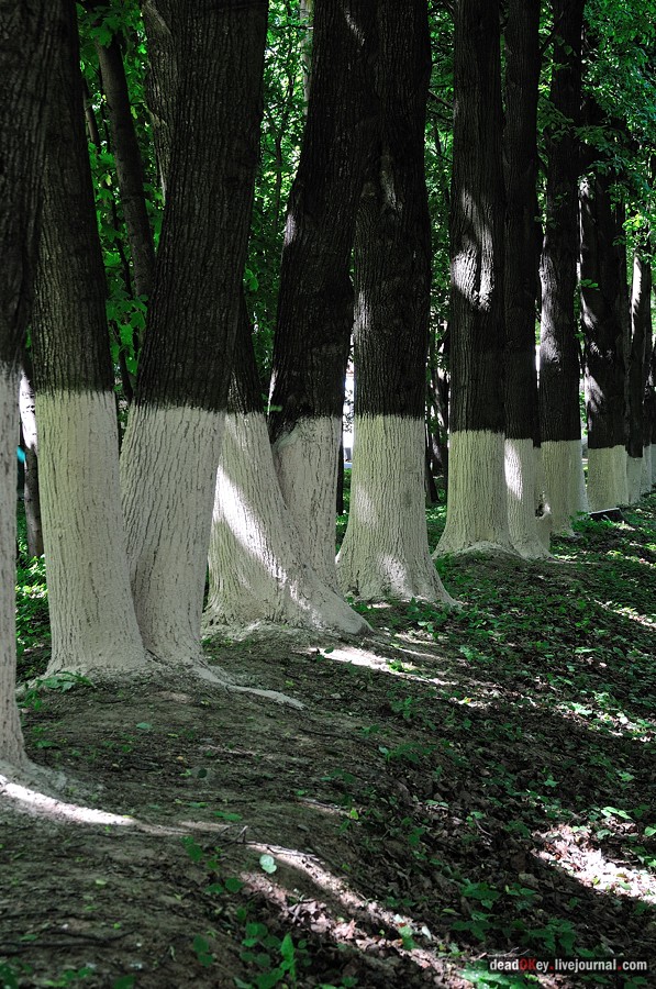 усадьба Братцево