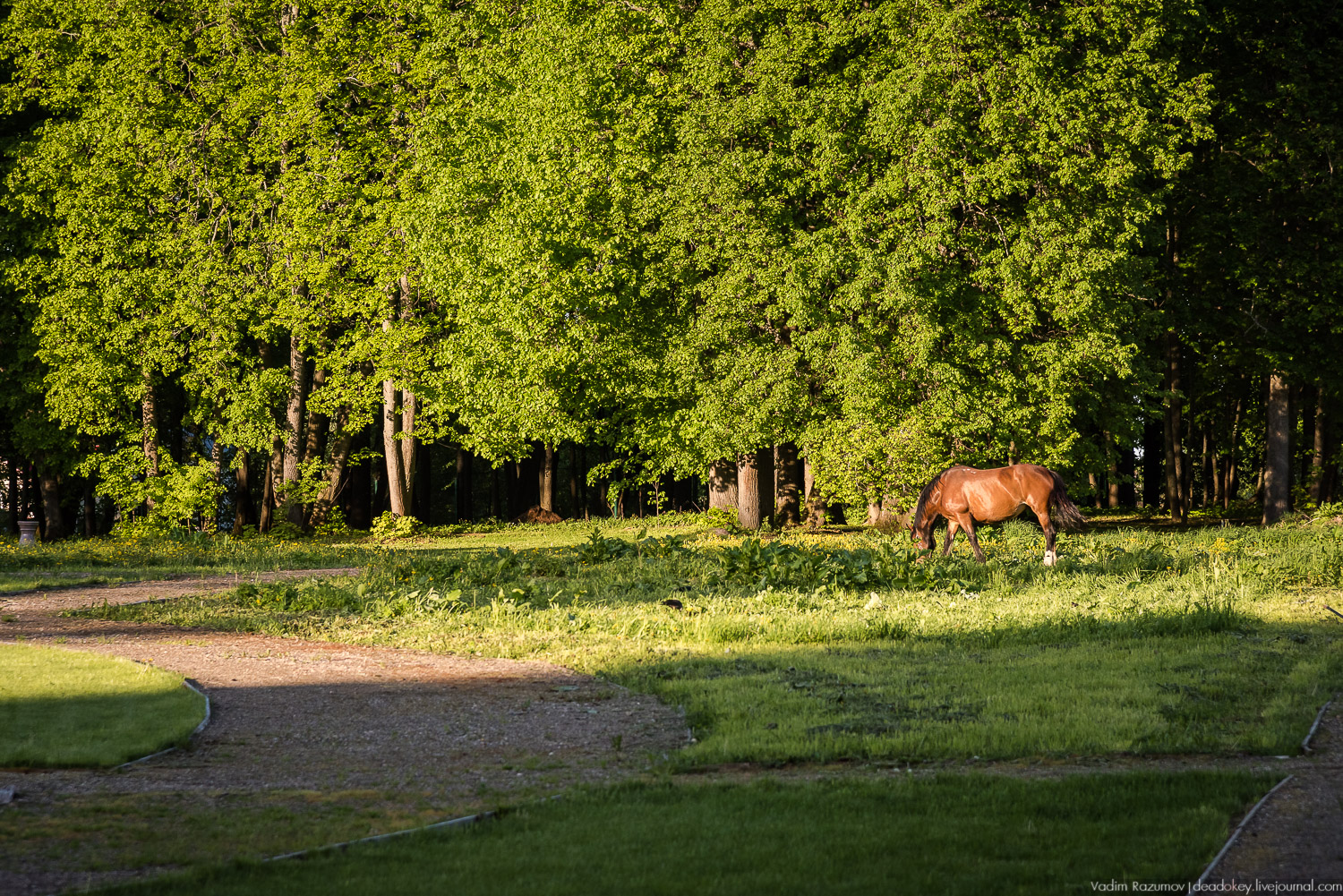 усадьба Воронино