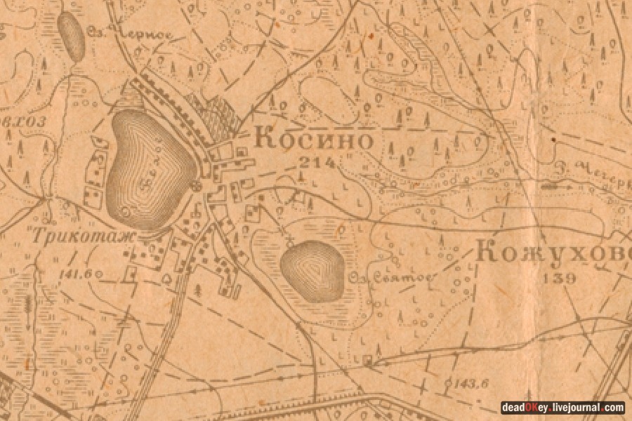 усадьба Косино