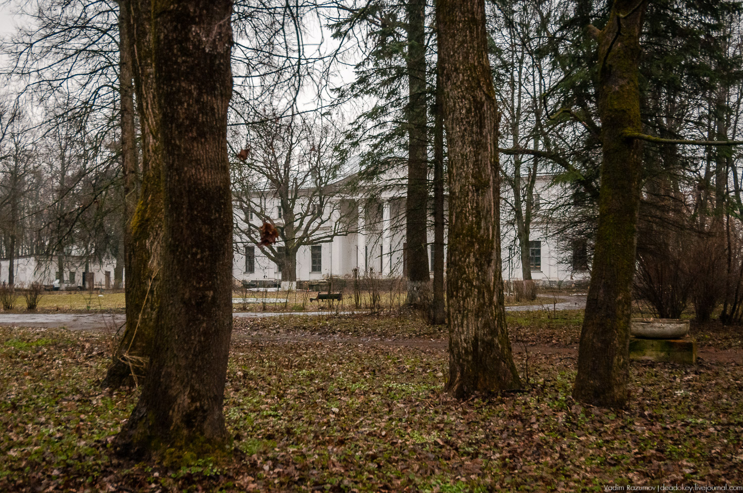 усадьба Петрово (Дурнево, Петрово-Дальнее), Красногорский район, Московская область