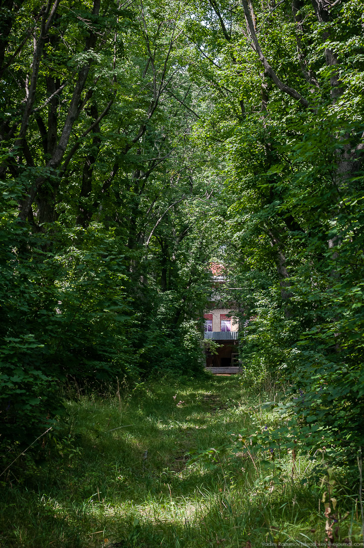 усадьба Стегаловка Ведровых