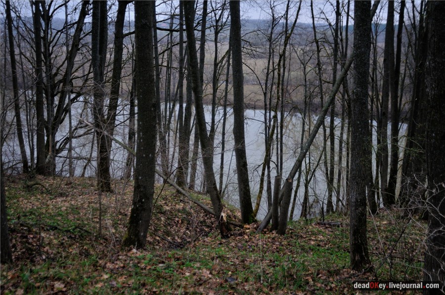 усадьба Полотняный Завод Гончаровых