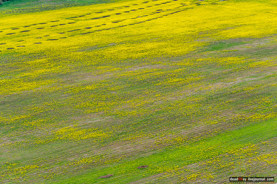 Пролетая на МИ-8 над Ярославской областью, часть 1. Аэрофотосъемка с вертолета