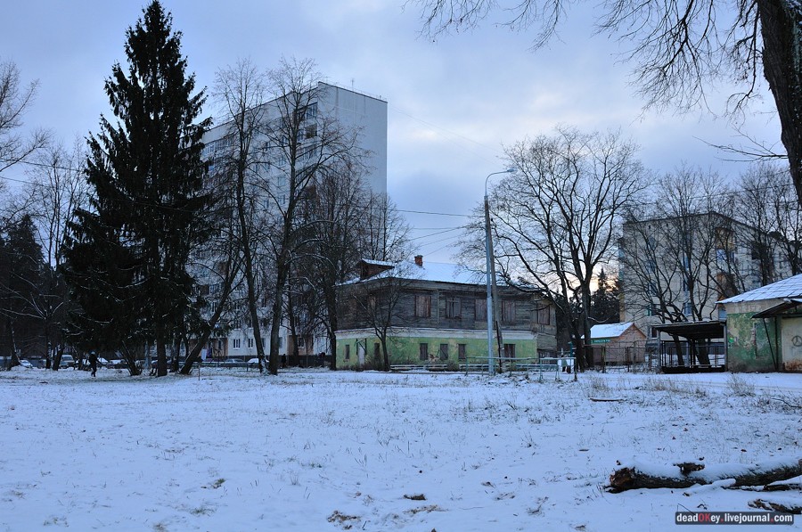 усадьба Медное-Власово