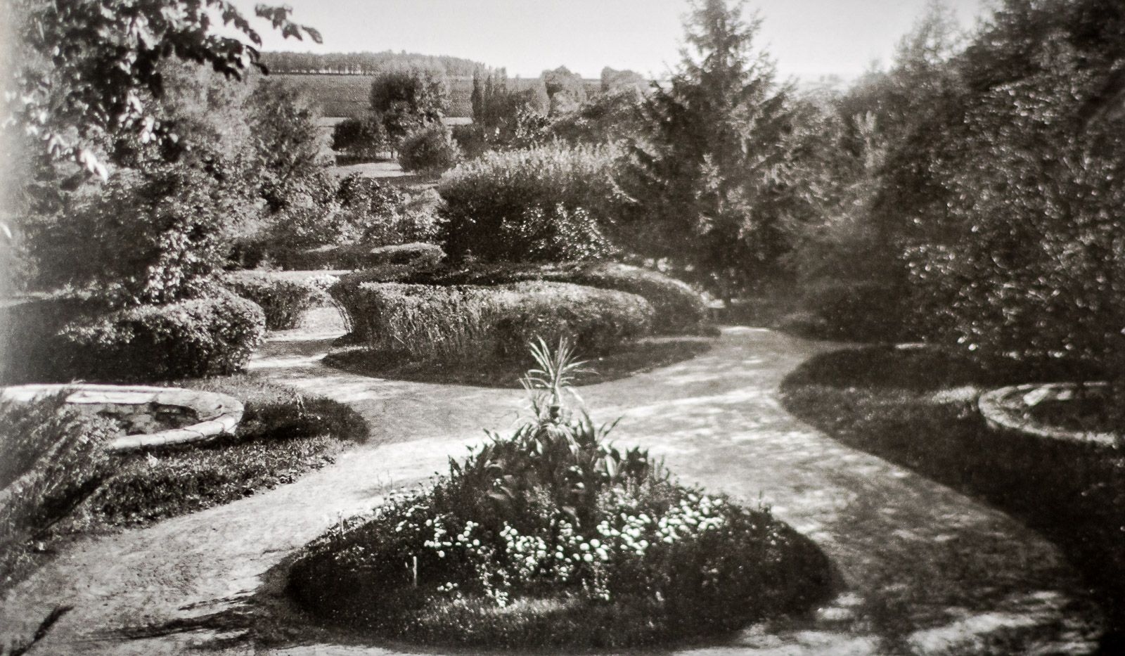 усадьба Борки, Липецкая область