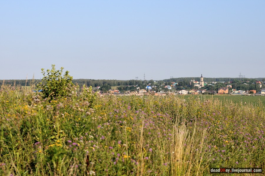 усадьба Шишкино