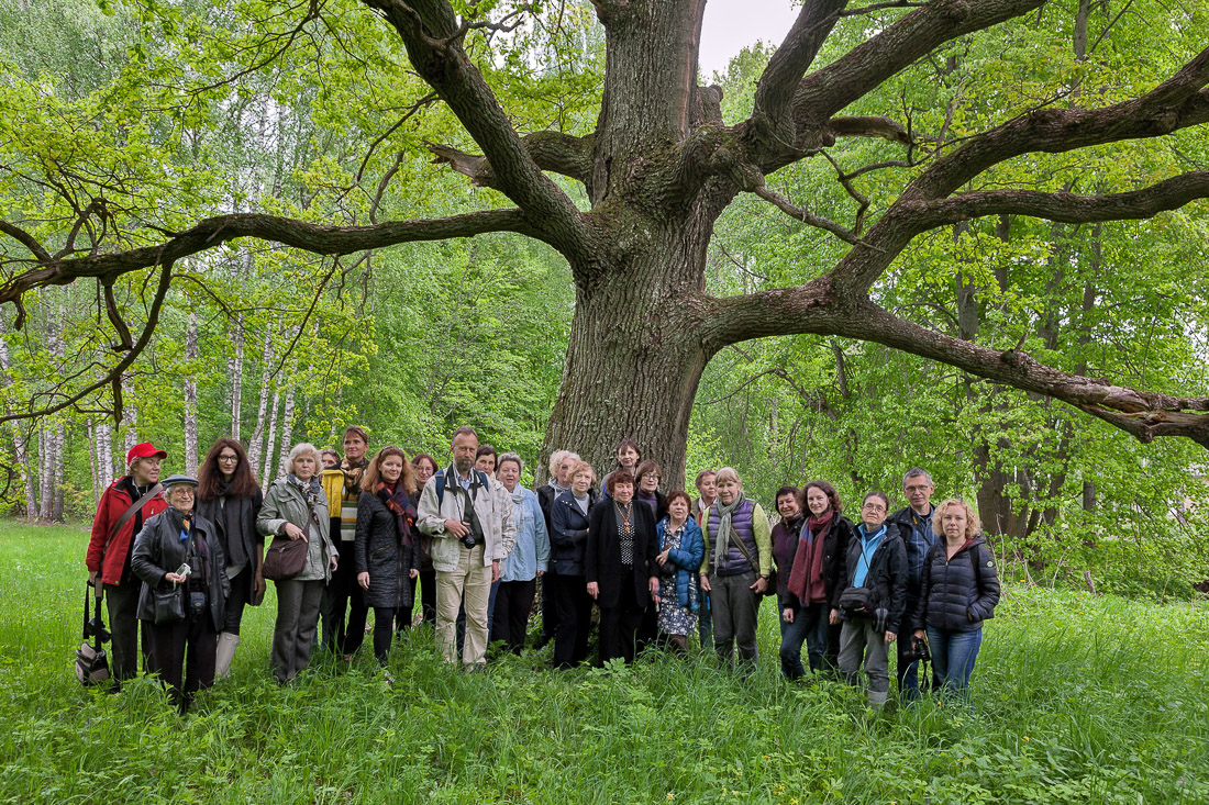 усадьба Мещерское