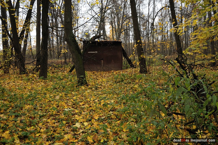 усадьба Жуково