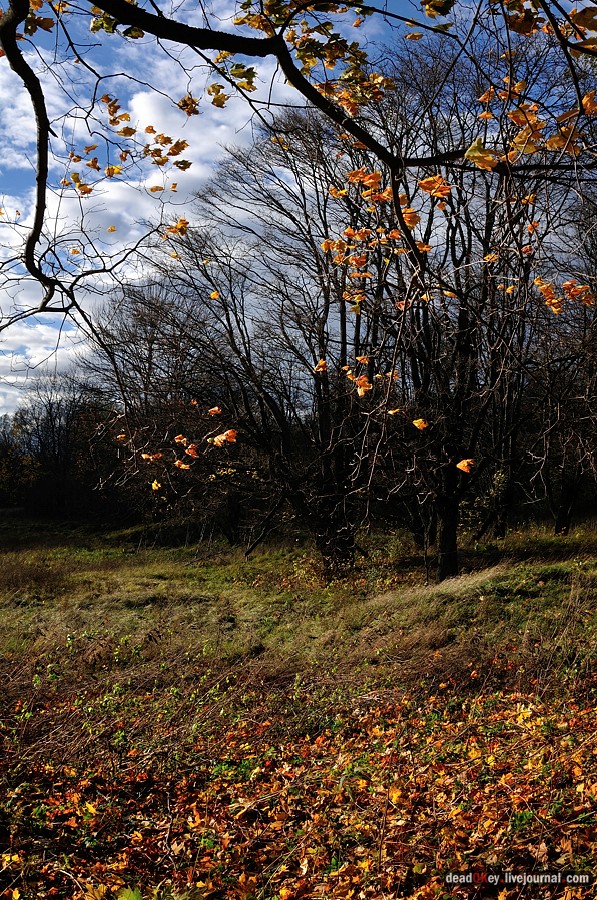 усадьба Авчурино