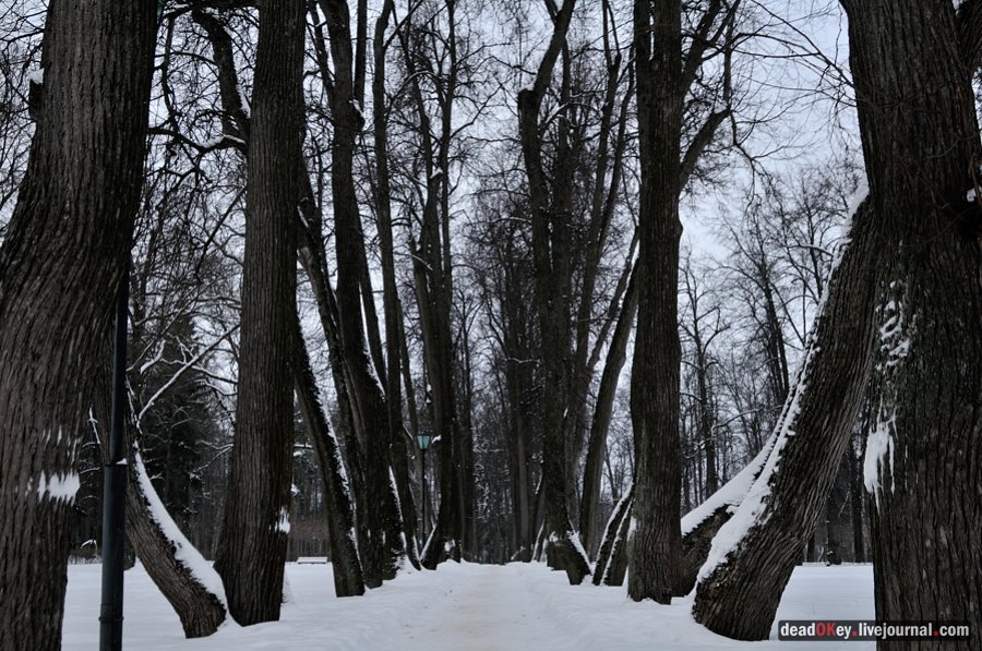 усадьба Остафьево