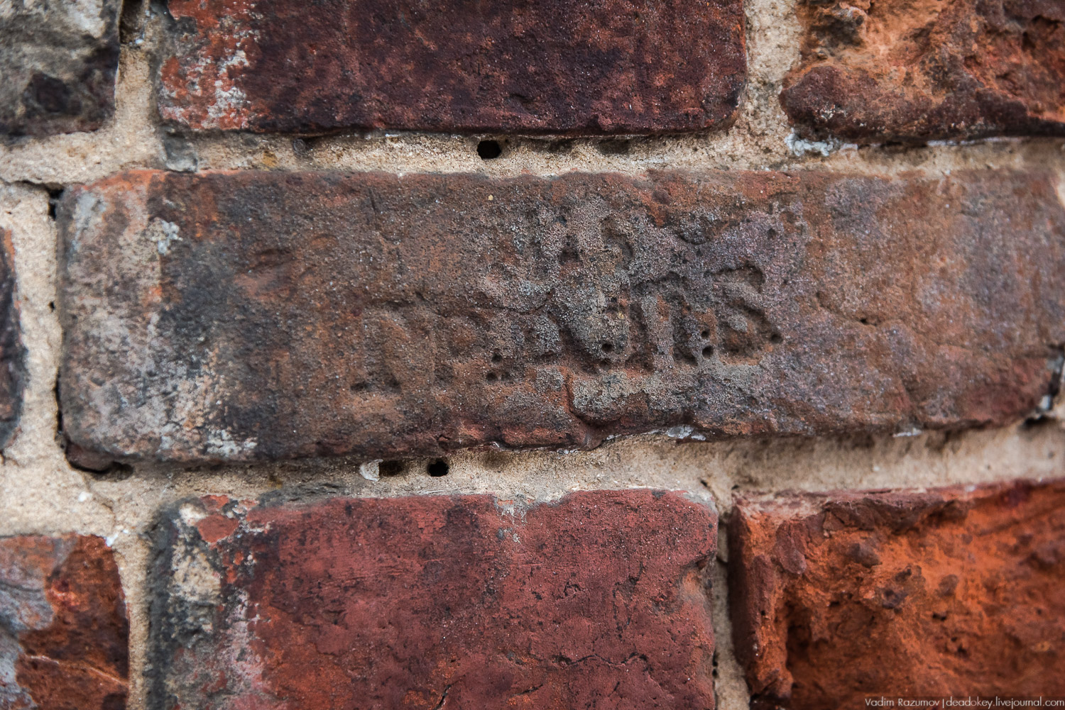 Богородицк, заброшенное здание бани