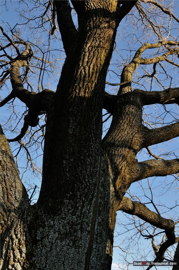 усадьба Черкутино