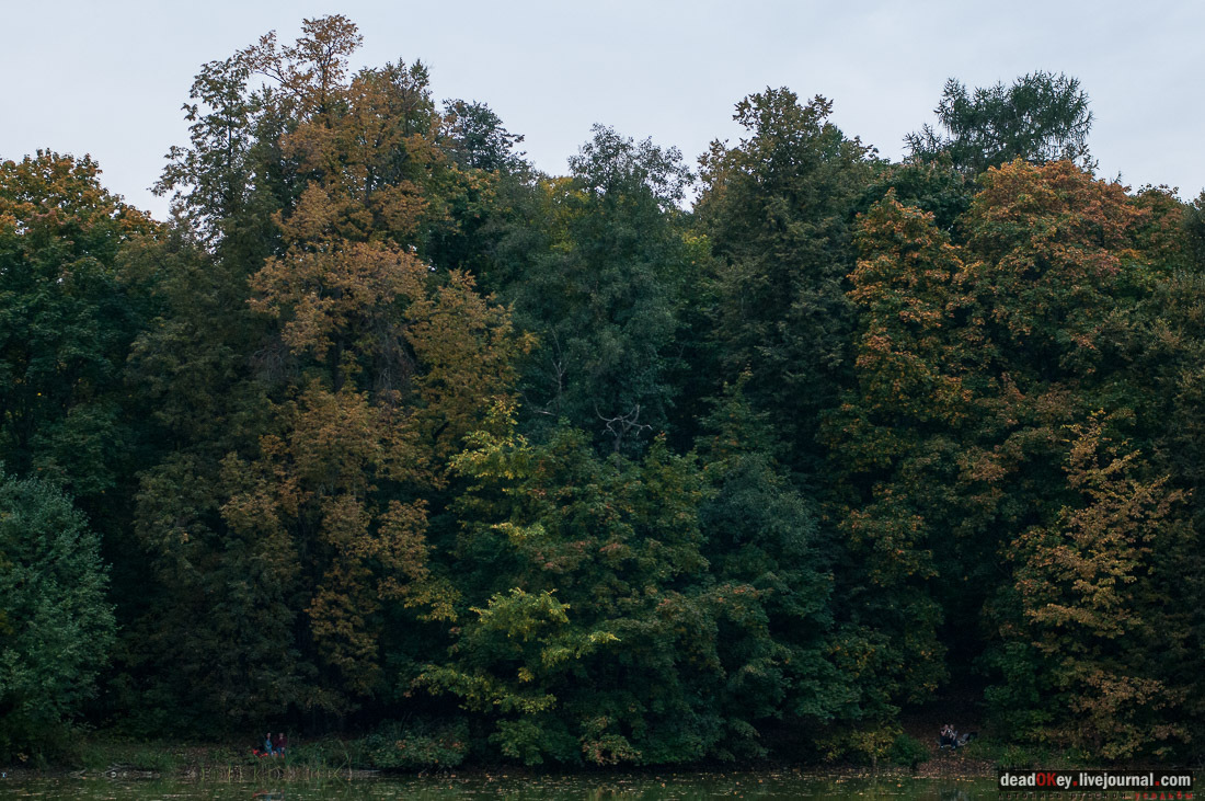 усадьба Быково. Встреча волонтеров 20 сентября 2015 года