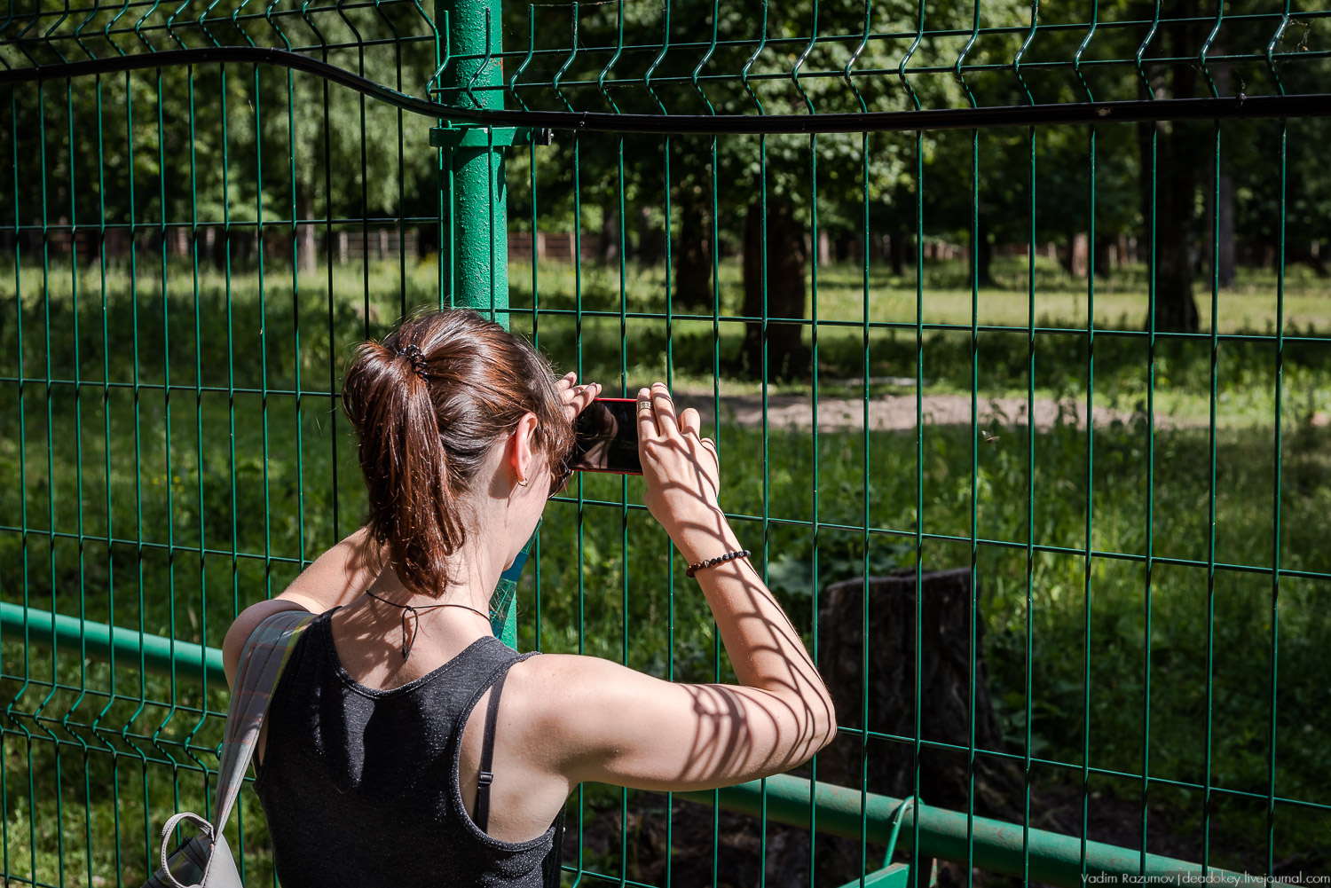 Экоэлектричка. Волонтерский поезд к зубрам в Приокский террасный заповедник