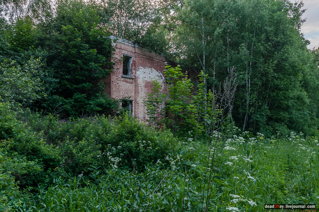 Усадьба Верзилово, аукцион, программа рубль за метр