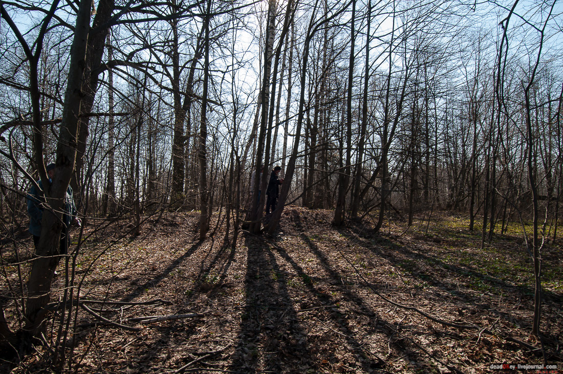 усадьба Савинское (исследование масонского парка)