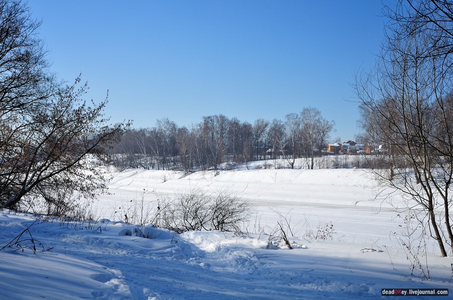 усадьба Старбеево