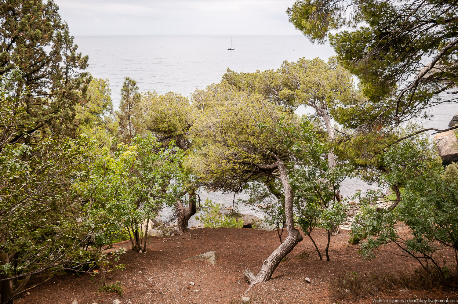 Алупка, Воронцовский дворец, Крым