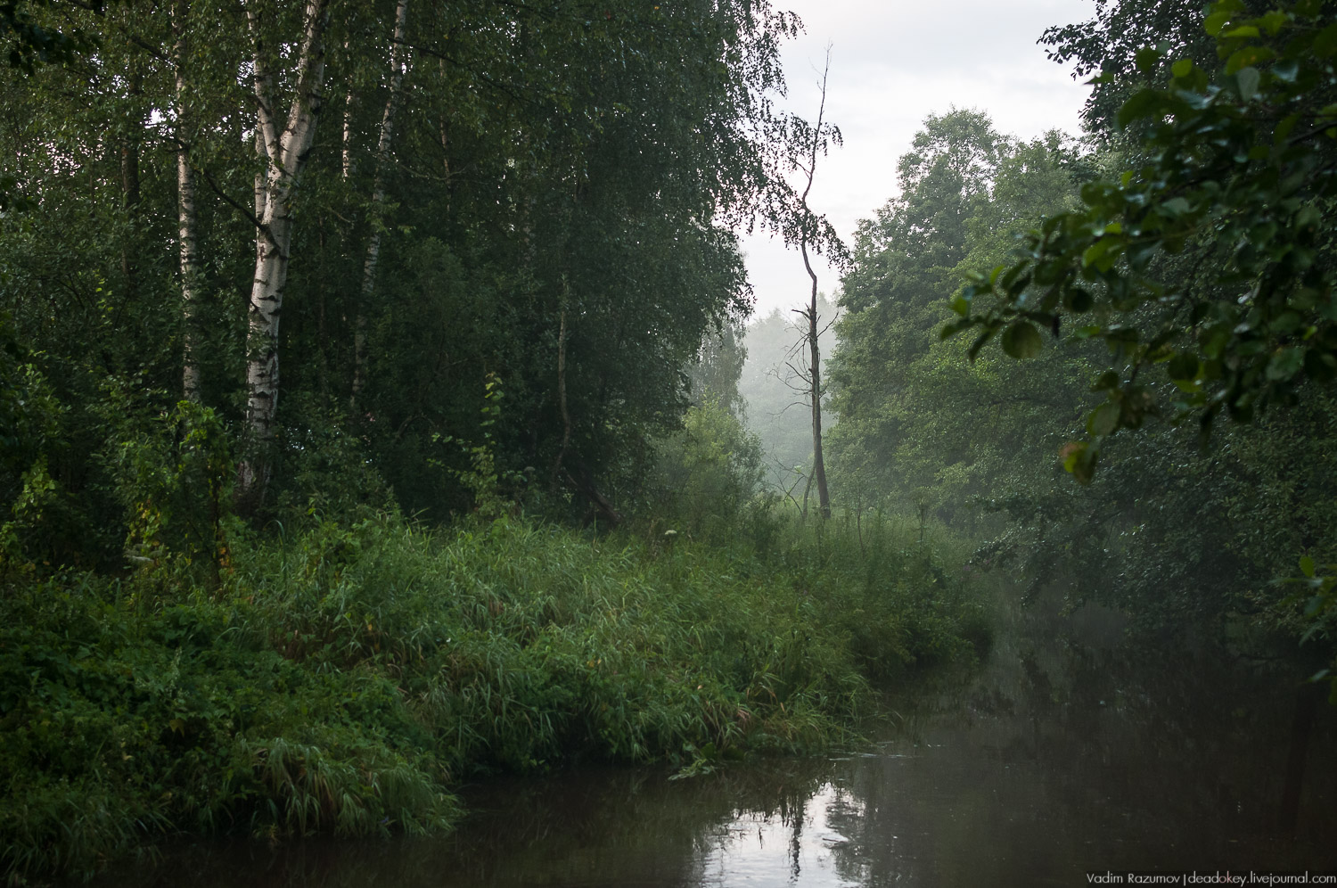 Закат, туман, Стромынь