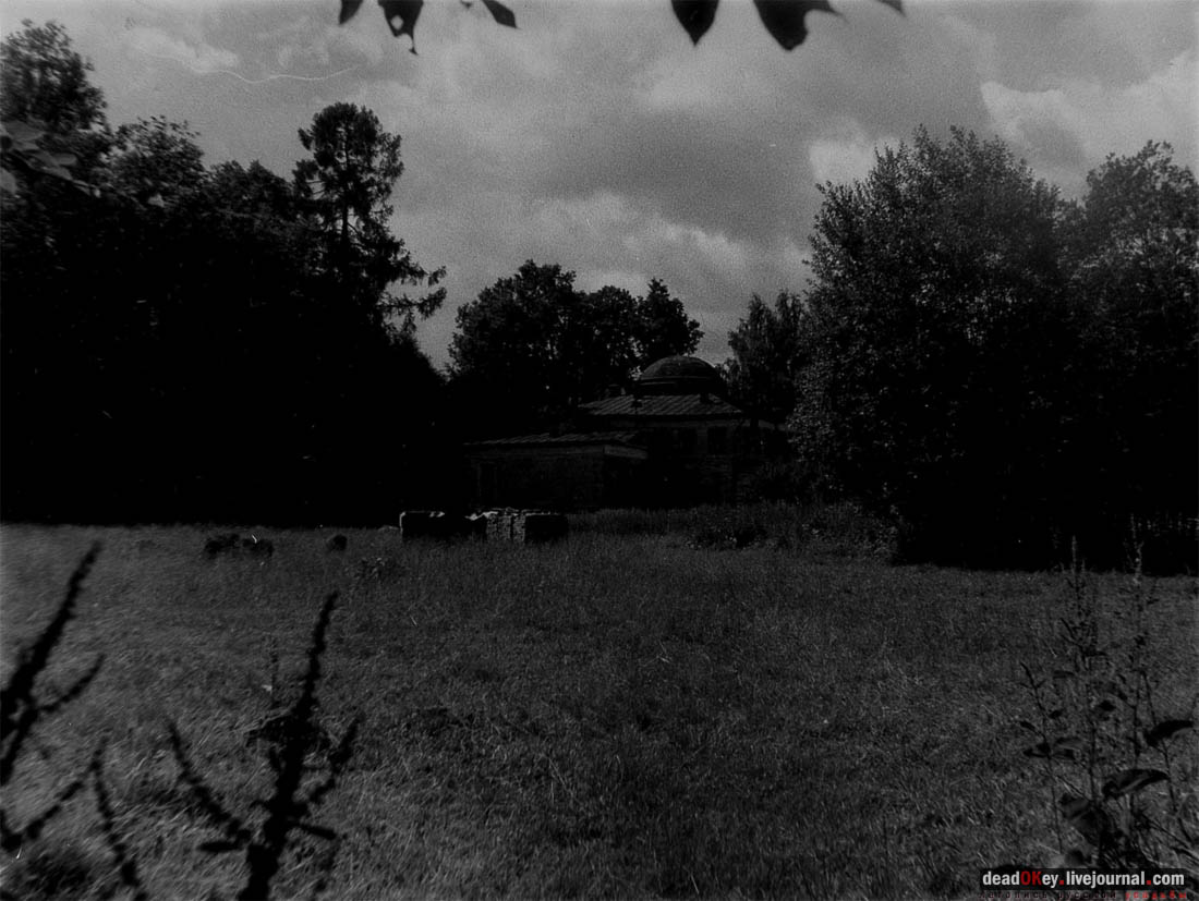 усадьба Васино