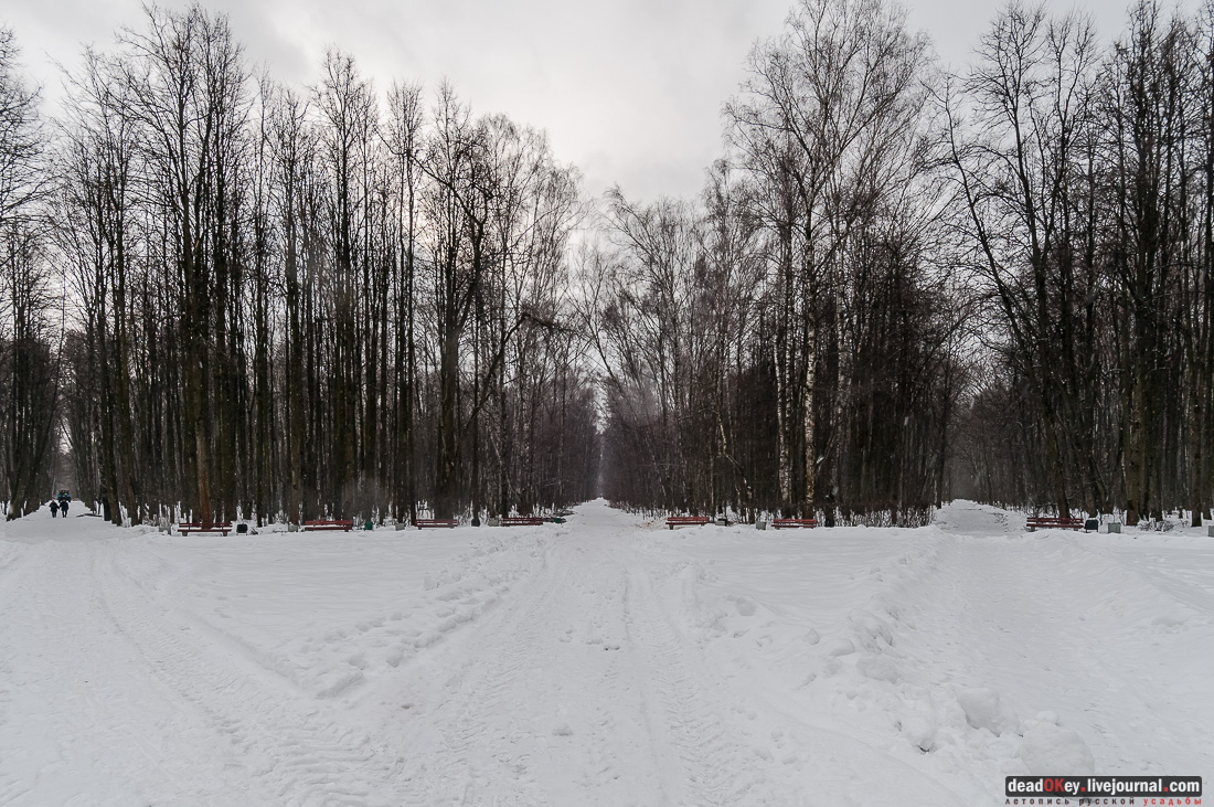 Вокруг Кусково