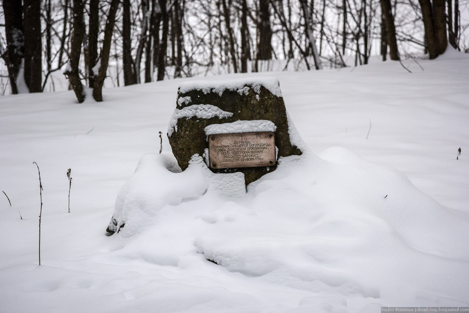 усадьба Знаменское-Садки