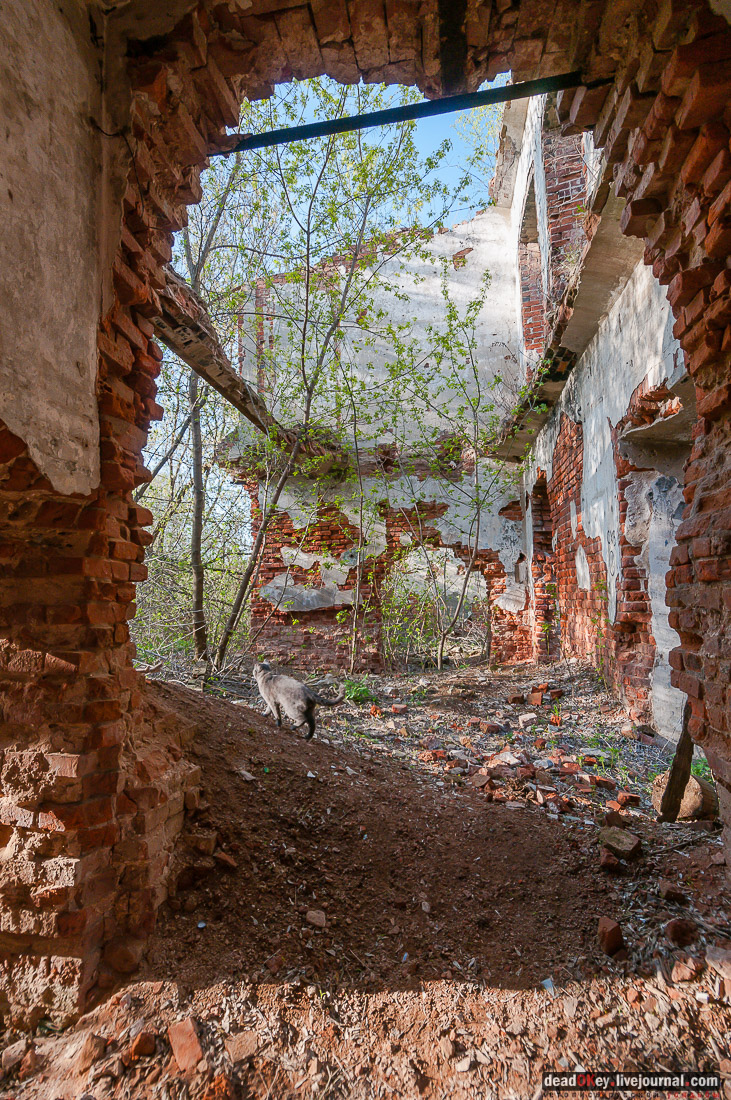 усадьба Зендиково