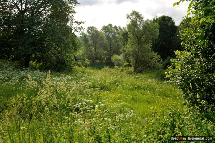 усадьба Кудрявцево