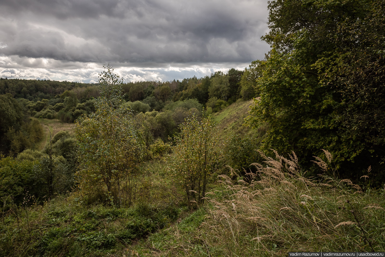 Городище Луковня, Подольское море