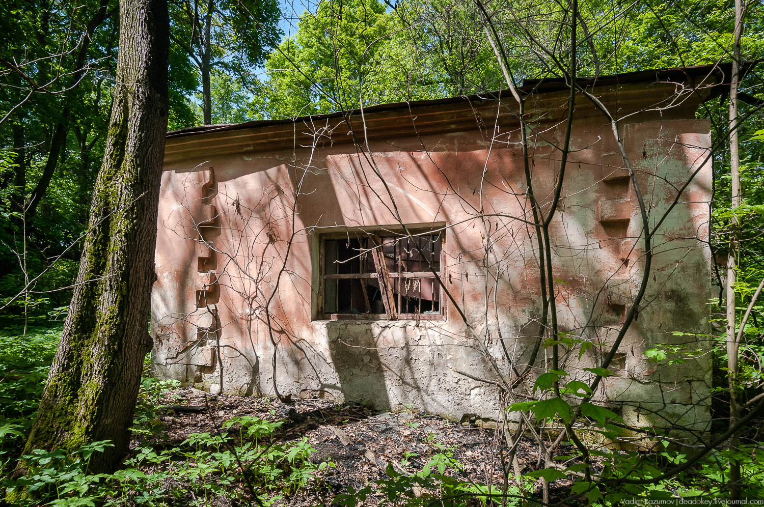 усадьба Хрусловка фон Мекк, Тульская область