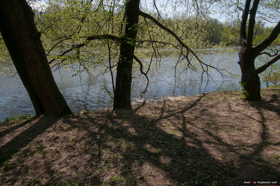 усадьба Кузьминки