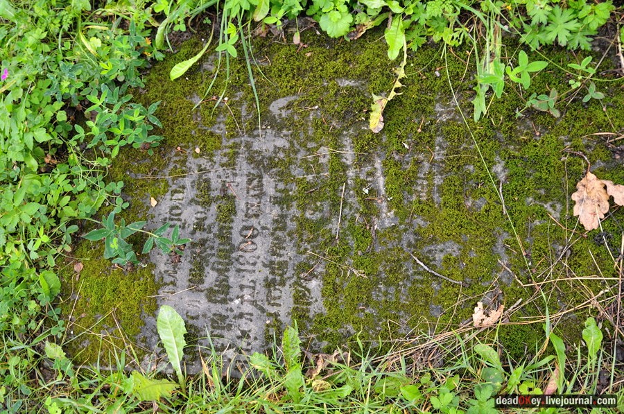 усадьба Верхоляне