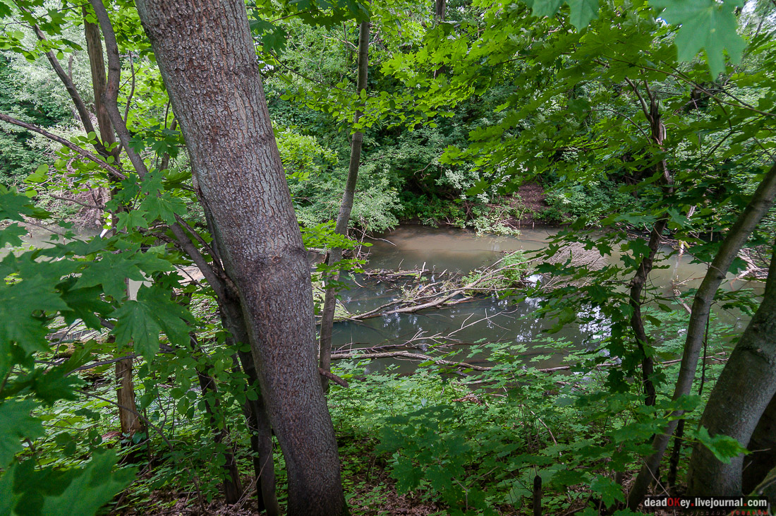 усадьба Дивово